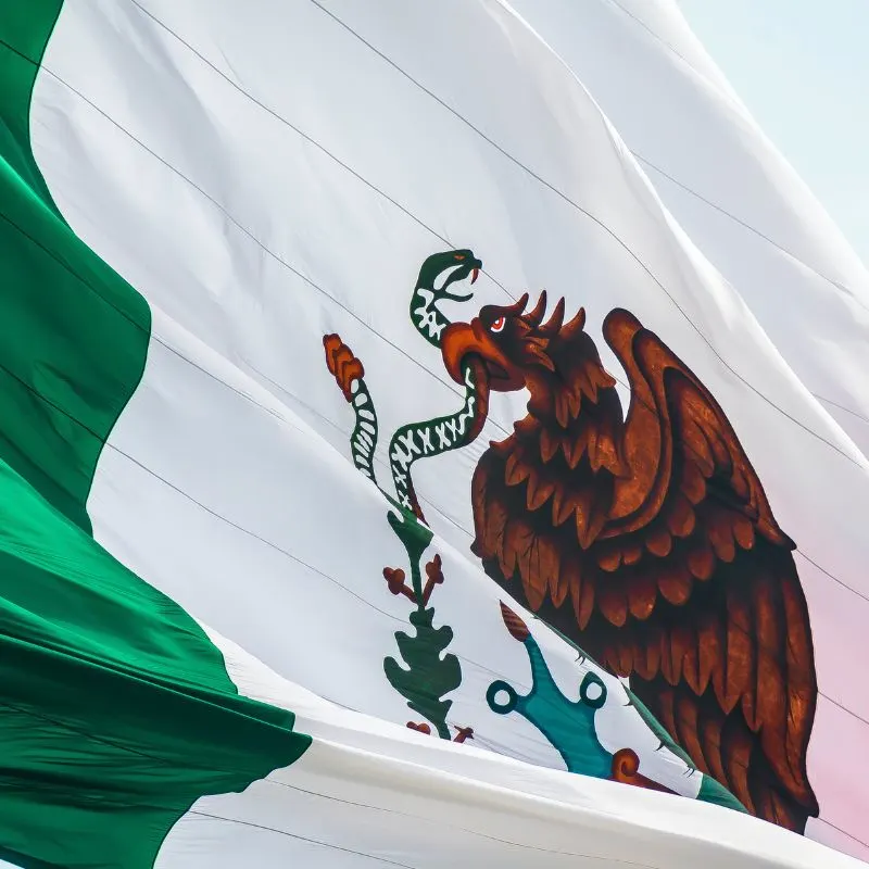 Mexican Flag Waving